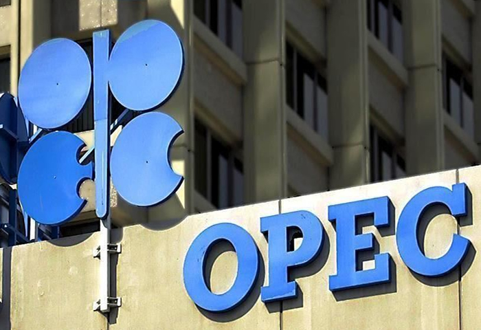 OPEC highlights positive outlook for UAE economy