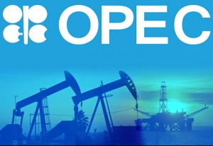 OPEC forecasts weaker oil demand in 2020-21